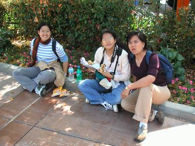 Side-Walk Cafe (411 KB)