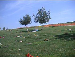 Movie of Gravesite (8 MB !!!! )