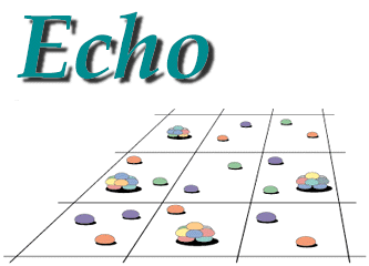 Echo image